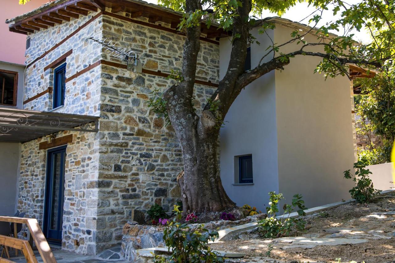 Guesthouse Iris Tsagkarada Exterior foto