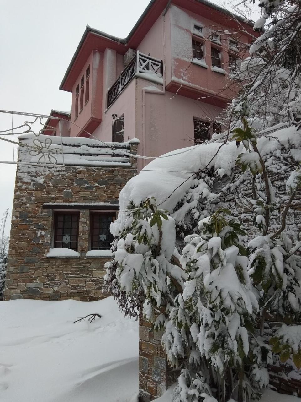 Guesthouse Iris Tsagkarada Exterior foto